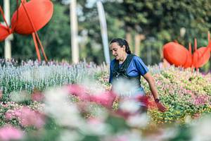 BIB: 
                            <button type="button" onclick="openModal(25932457)" class="btn btn-primary btn-sm float-right btn-popup" data-toggle="modal" data-target=".modal-high-quality">
                        <i class="fas fa-shopping-cart"></i> Add to Cart
                    </button>
                                            <button type="button" onclick="isThisMe(25932457, true)" class="btn btn-success btn-sm float-right btn-popup btn-isme hidden" data-toggle="tooltip" data-placement="bottom" title="นี่คือรูปของคุณใช่ไหม คลิกที่นี่เพื่อเอาเข้าอัลบั้ม">
                        <i class="fas fa-plus"></i> Add to album
                    </button>
                    <button type="button" onclick="isThisMe(25932457, false)" class="btn btn-warning btn-sm float-right btn-popup btn-isnotme hidden">
                        <i class="fas fa-ban"></i> Remove from album
                    </button>